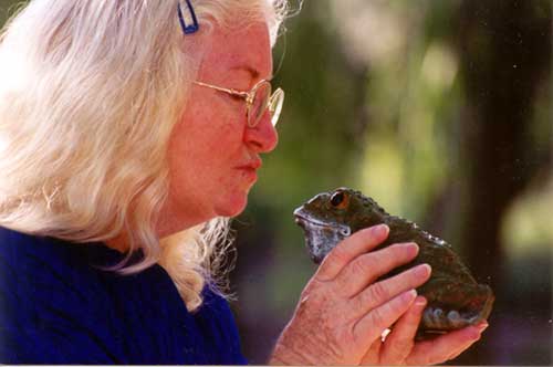 Elizabeth Ellis storyteller kissing a frog while storytelling for children.
