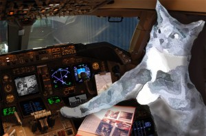When Cats Could Fly...